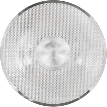 SBPNEOL10